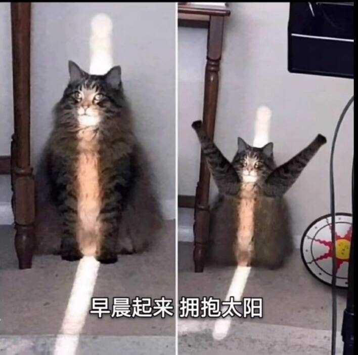 求个大佬挖土截图
