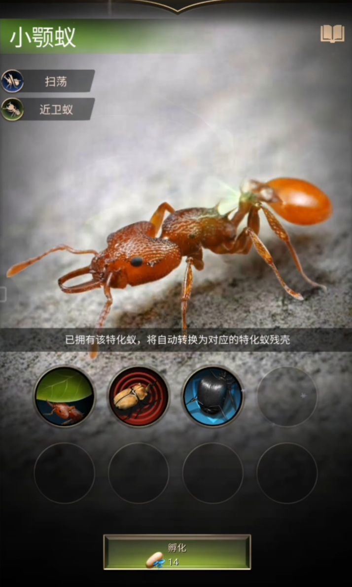这就是现实里第二常见的那种黄蚂蚁吧?截图