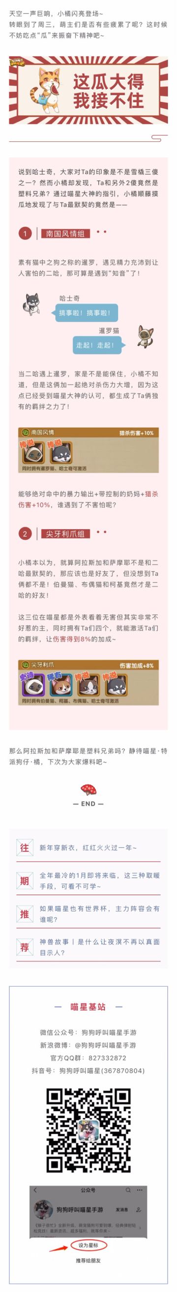 喵星八卦丨雪橇三兄弟间竟存在不和？Ta真正在意的究竟是谁？