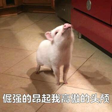 洗石记录20：百次洗石截图