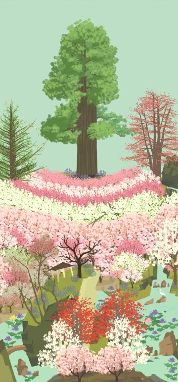 老农的活动还是要积极参与的