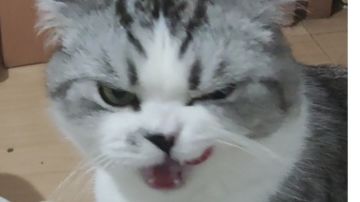 一些小tips【欢迎补充】