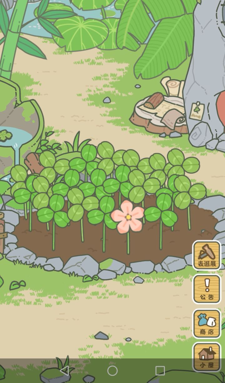 开花了截图
