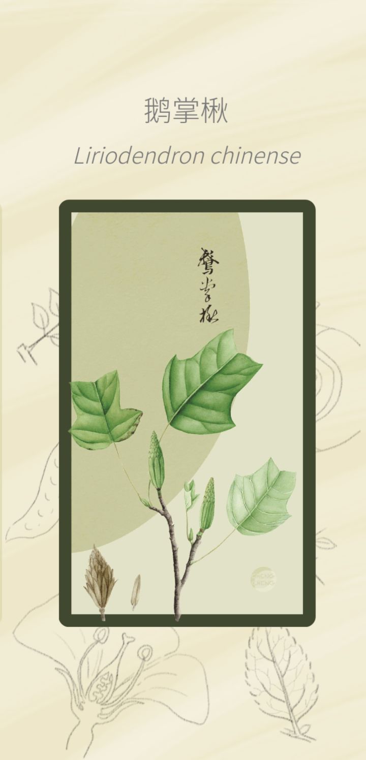 树种全齐了纪念一下截图