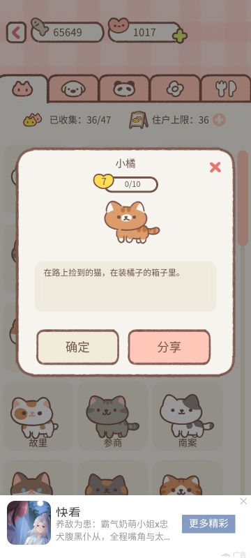 遇见你的猫触发攻略