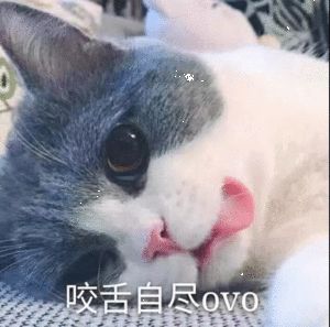 狩猎屠德打要塞视觉盛宴 2截图