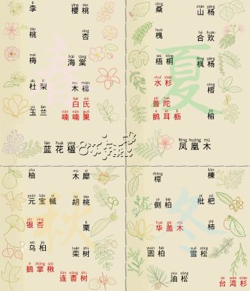 老农现有树种以及树样子集合~