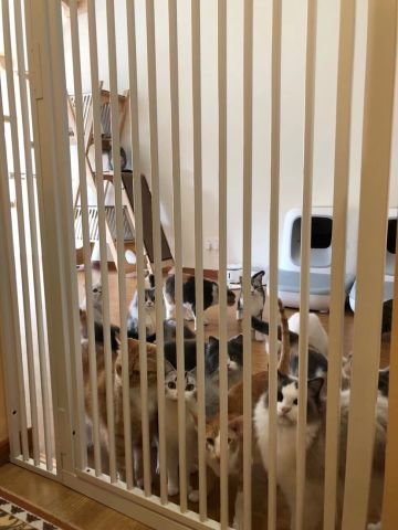 🧏‍♀️❤️感谢名字刻在了异世界♥️💕