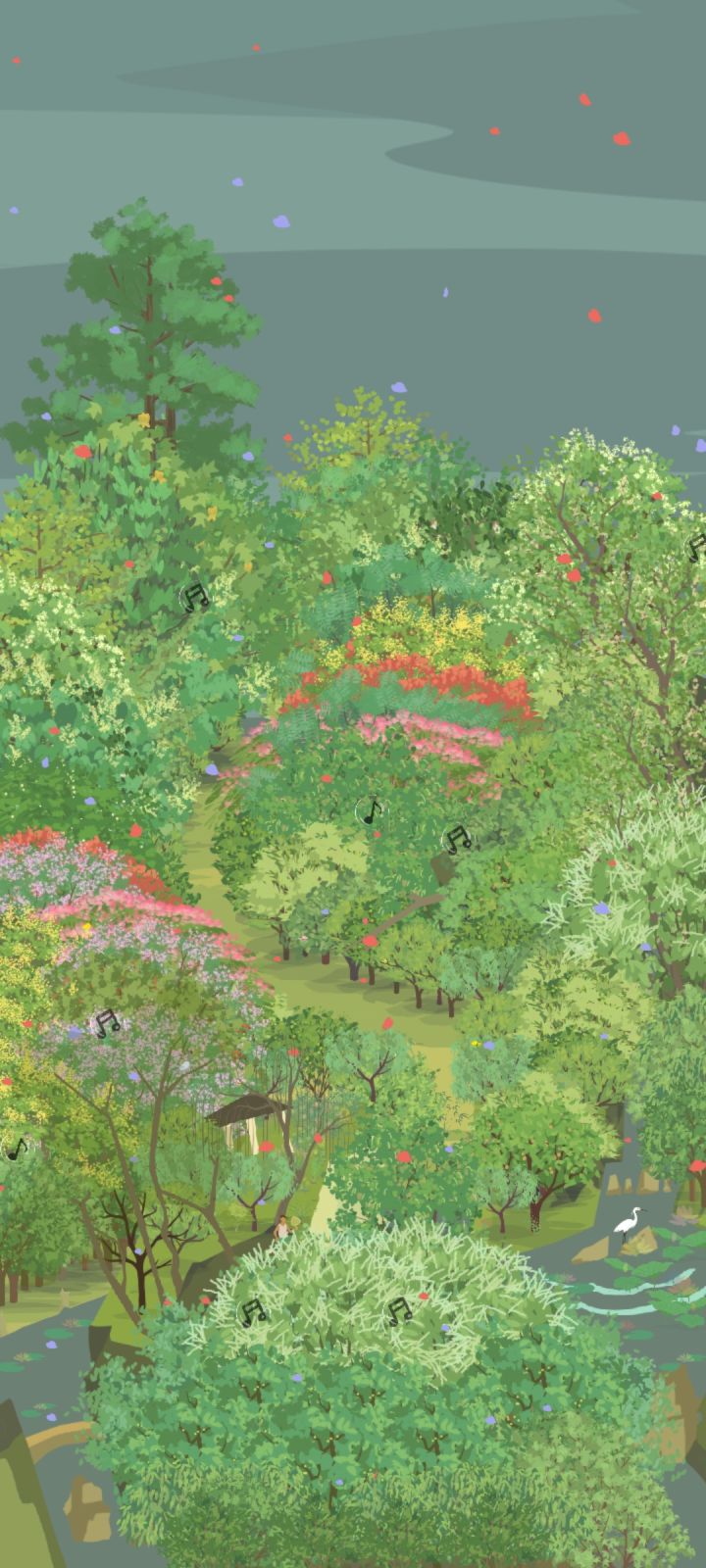 记录山头第一次花瓣雨截图