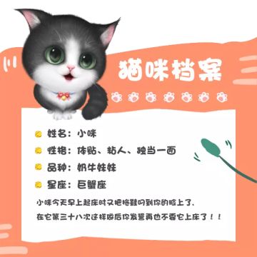 喵星人档案丨并不是所有的等待，都会有结果！