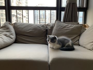 【COC冷知识】打鱼匹配机制、资源奖惩机制