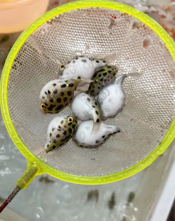 一文就知道怎么玩性价比最高！