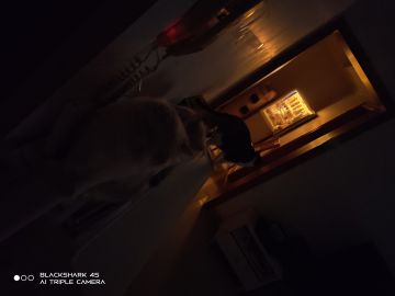 4月1日 多杰日记