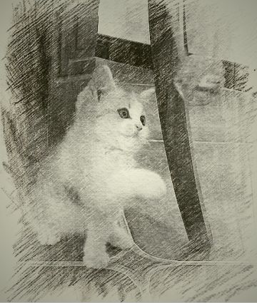 【为魂设计武器外观】