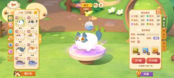 【个人记录】普通二代猫图鉴