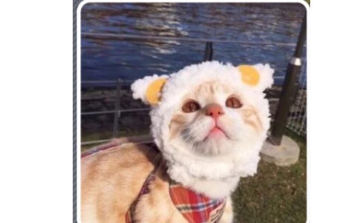 美图秀儿哈哈哈截图