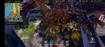 一些建议、技巧和发现