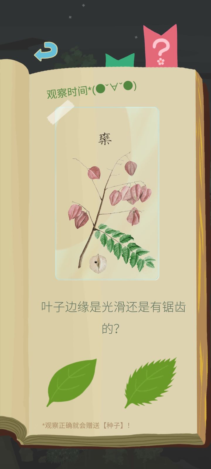 记录一些透卡,从今日起| ू•ૅω•́)ᵎᵎᵎ(12.23,已更新)截图