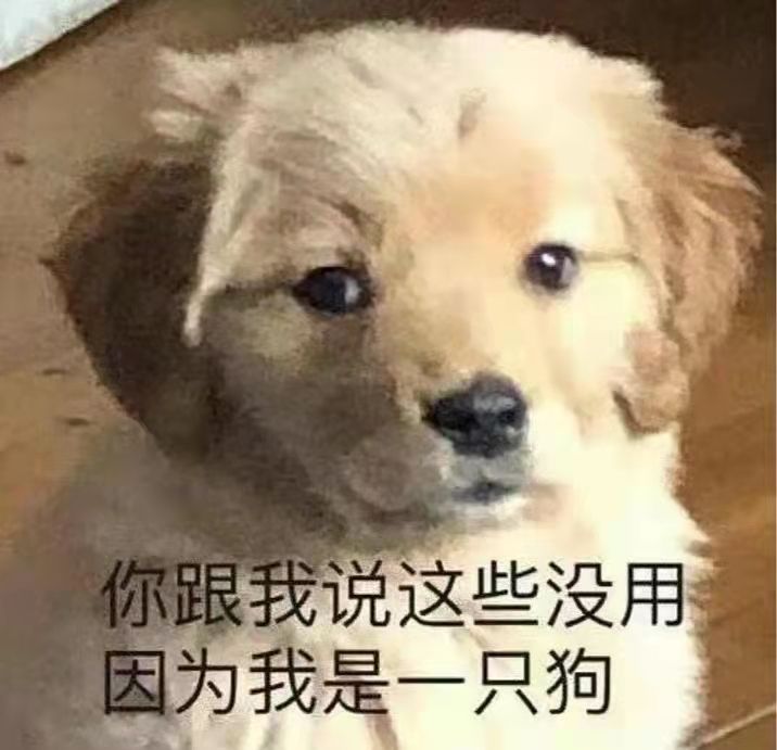 忍三的日常是不是耗时太久截图