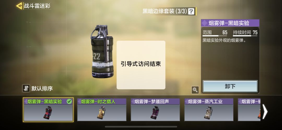 bug 黑暗实验皮肤不显示了 更新包全更新了截图