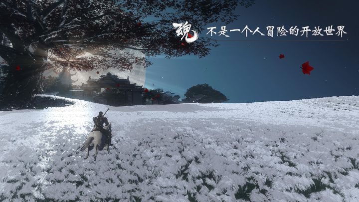 《魂》——我心目中的梦中情游!截图