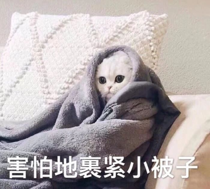 地狱找队截图