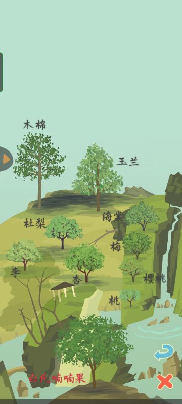 夏季了，树长啥样