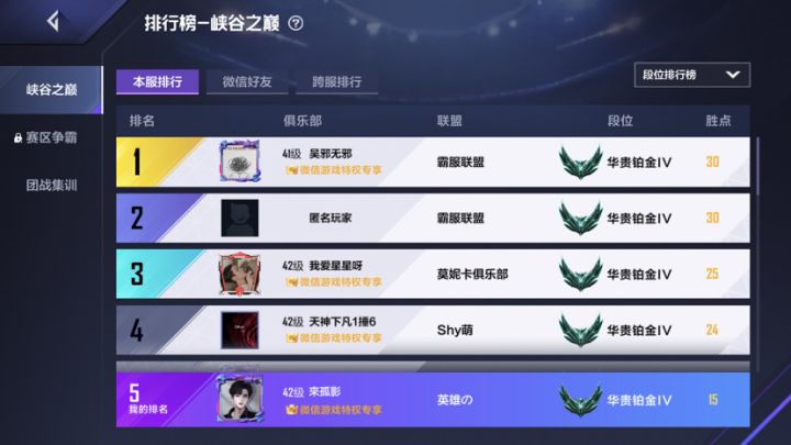 微信区,微氪稳前五截图