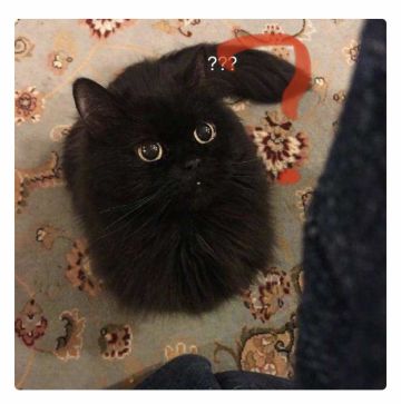 小破书，体力够的话可以一直肝！