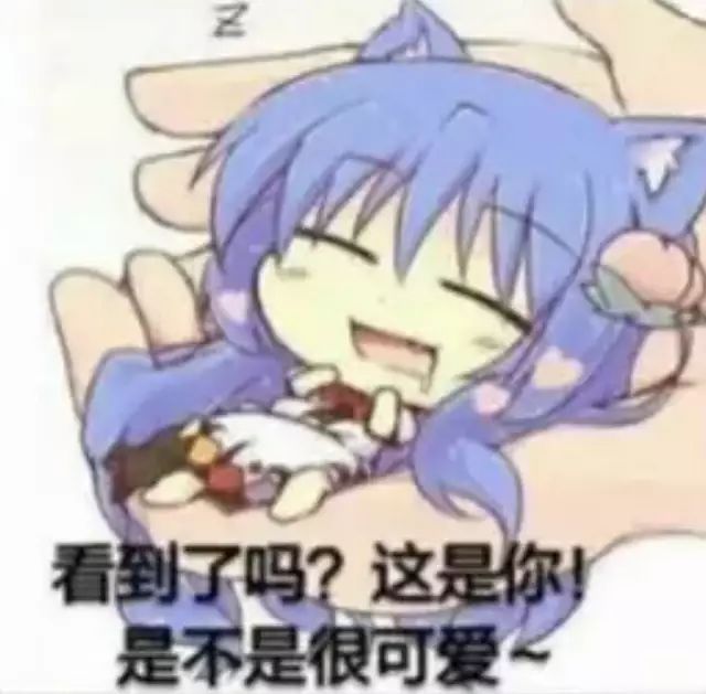 论狂肩攻击力加成与其他套装全伤加成的优劣截图