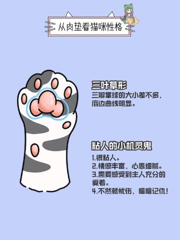 从猫咪的肉垫看性格，来看看你家猫咪什么性格吧！