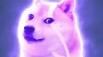 发表一下我对赛诺的一些见解