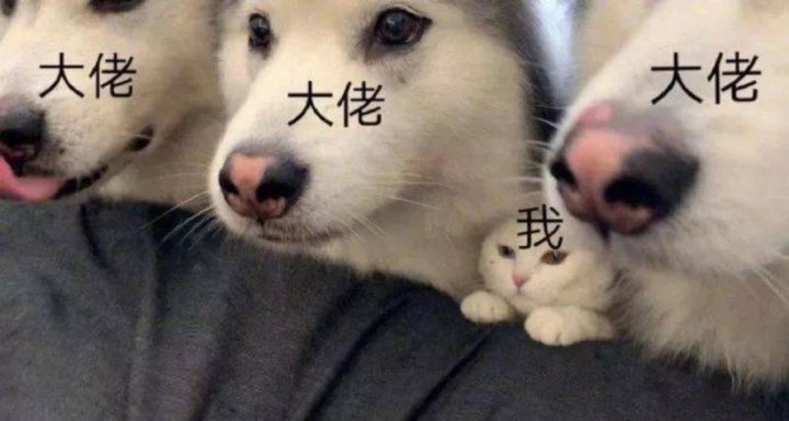 钟离加琴 对付流血咋样?截图