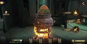 龙蛋孵化！三个女寝室收人！