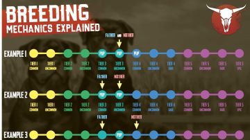 5月25日更帖，关于繁育机制