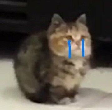 分享一个上分小知识