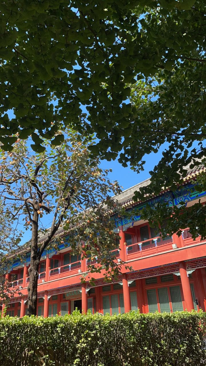 松松总动员 国庆打卡第八天 UID：336363截图