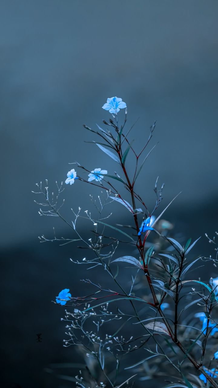分享一下～截图