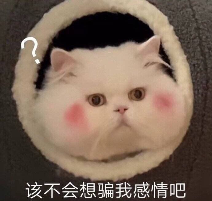 开服大透乐截图