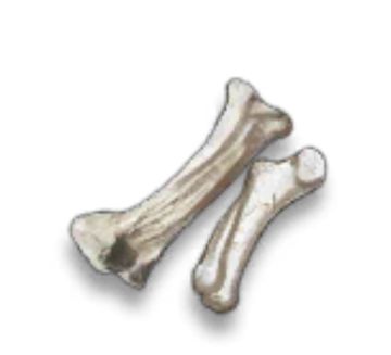 【幸存者联盟】物资图鉴- 兽骨