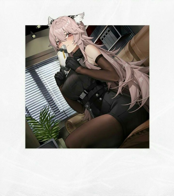 纯白相册截图