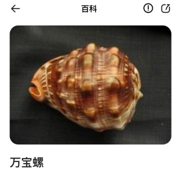 新版本115级预言帖