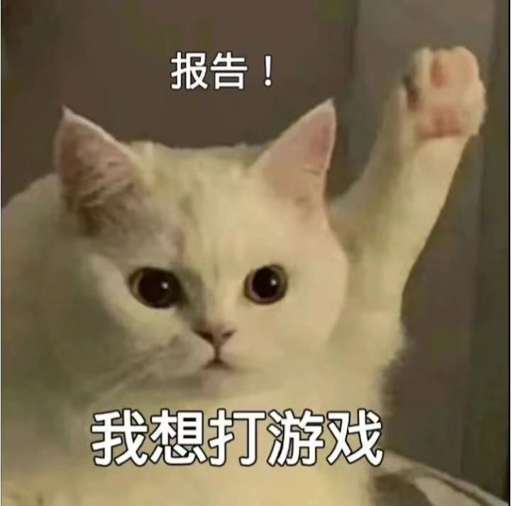 偷袭截图