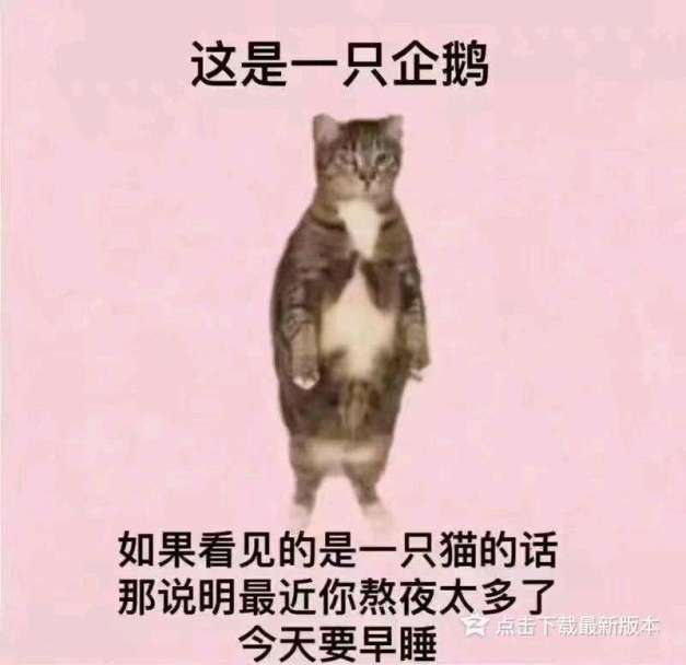 【史莱姆】5配布超安定版4t截图