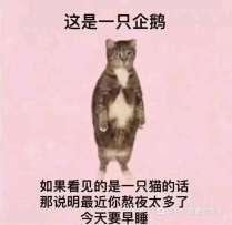 【史莱姆】5配布超安定版4t