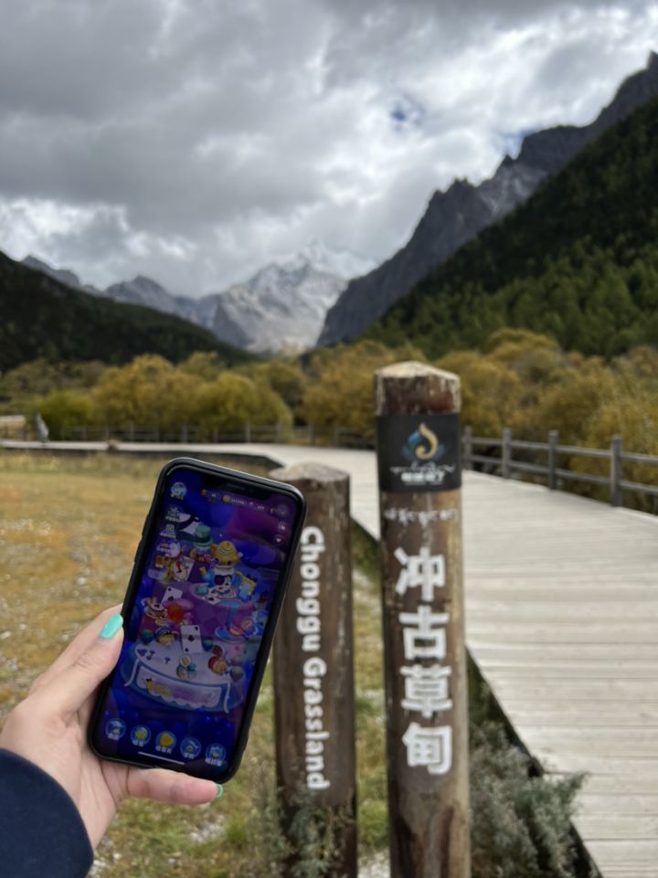国庆打卡第七天截图