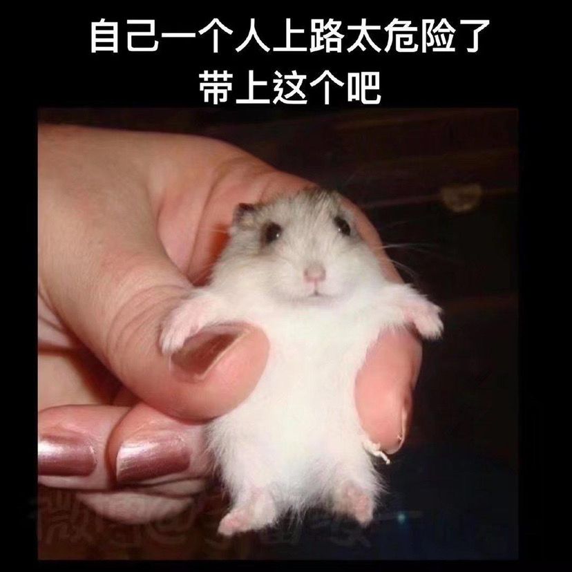当你脸黑又想快速角色培养培养篇截图