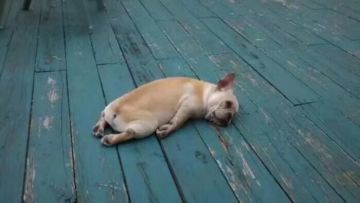 三国美人图获得方法、人物及地点