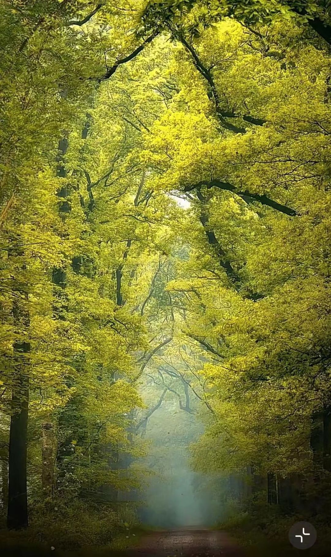 video-2871896