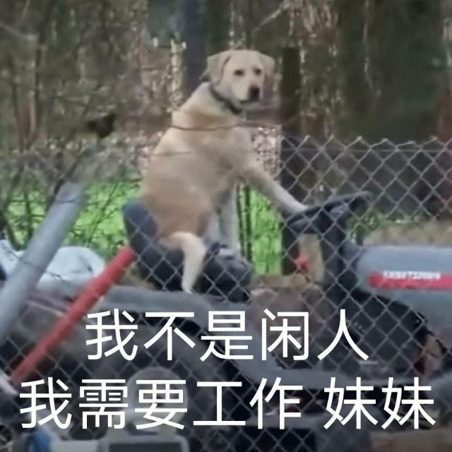 幸运的人已经准备明天二测了，帅气的人已经在等三测了截图
